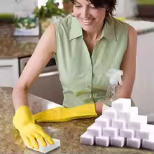 Cleaning Sponge Pack